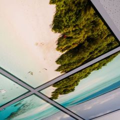 Beach celling art - 3