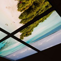 Beach celling art - 4