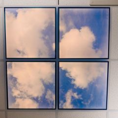 Sky with clouds celling art