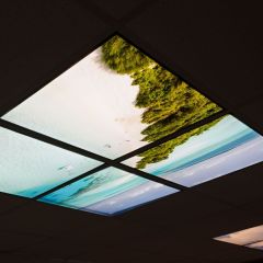 Beach celling art - 2