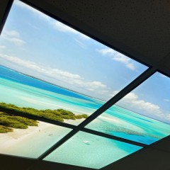 Holiday celling art