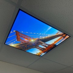 bridge ceiling panel
