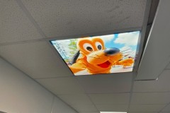 Goofy Ceiling Panel