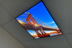bridge ceiling panel