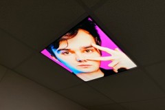 Portrait ceiling panel