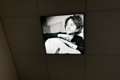 Portrait ceiling panel