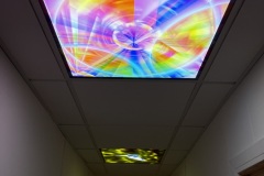 Pattern Ceiling Panel