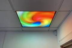 Swirl Ceiling Panel