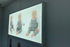 Baby Wall Panel