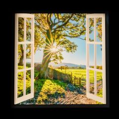 Tree LED Virtual Window Wall Art