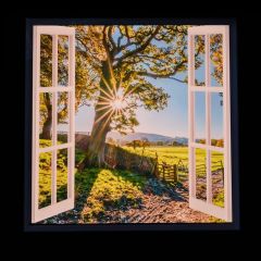 Tree LED Virtual Window Wall Art
