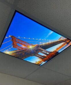 Ceiling Panel Art - Bridge