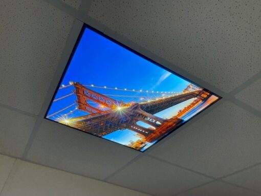Ceiling Panel Art - Bridge