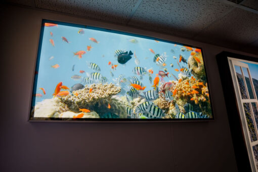 LED Marine Themed Wall Light Box 1200x600mm