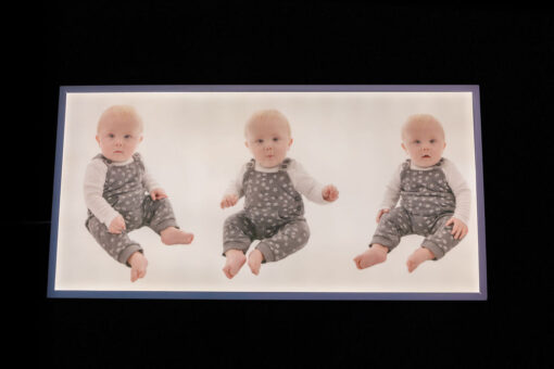 LED Themed Wall Light Box 1200x600mm